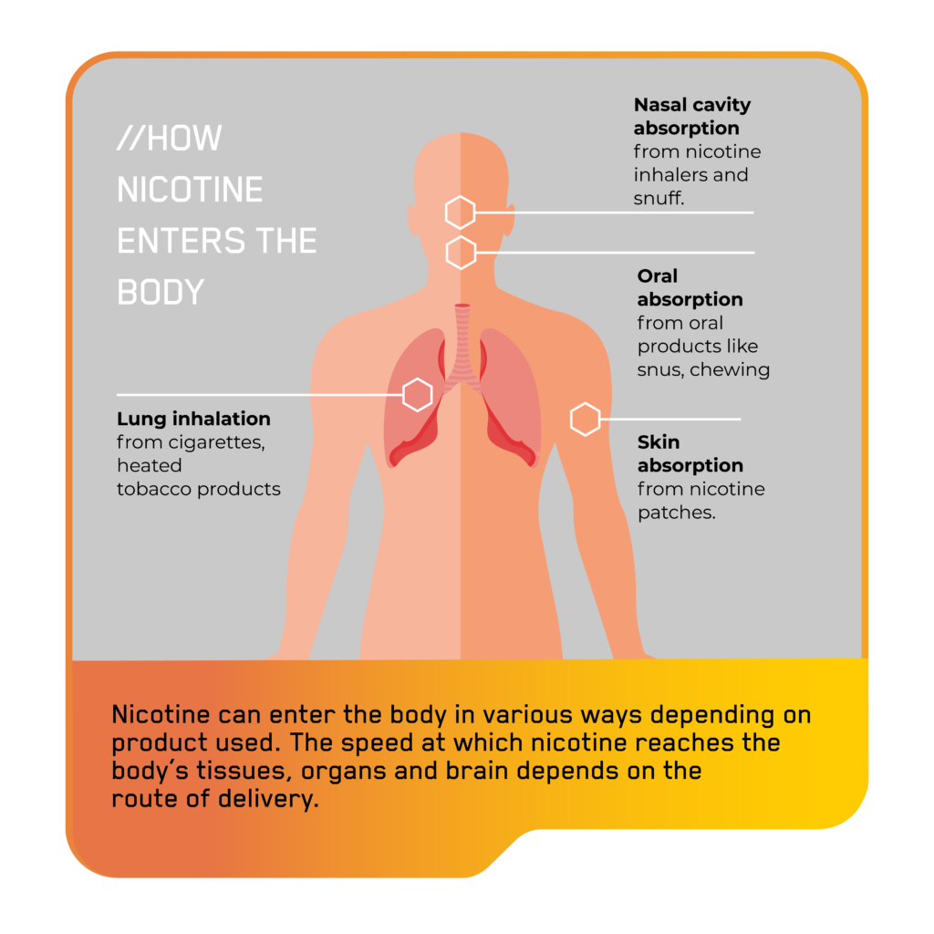 What Is Nicotine Imperial Brands Science