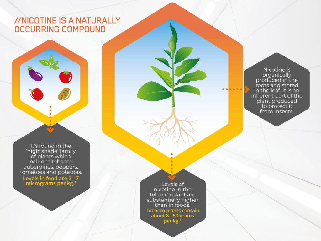 Where Does Nicotine Come From?