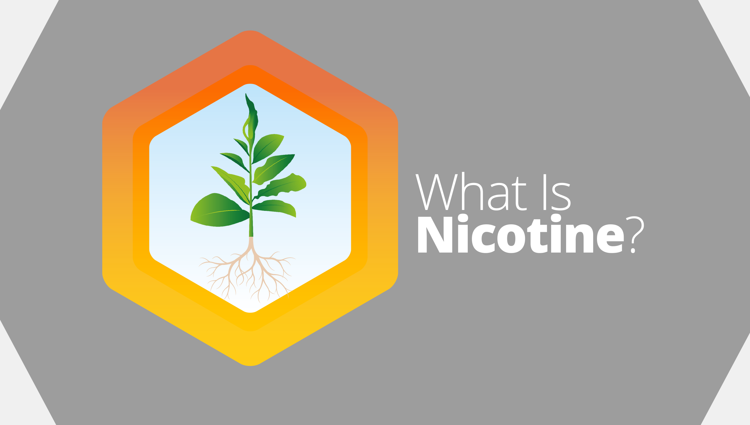 What is nicotine?