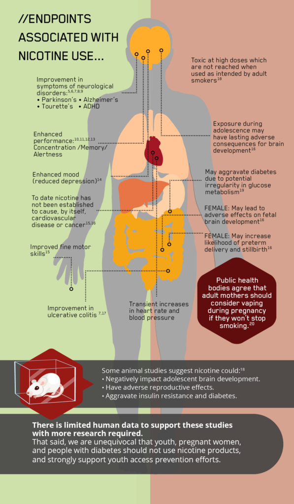 Nicotine Effects On Brain